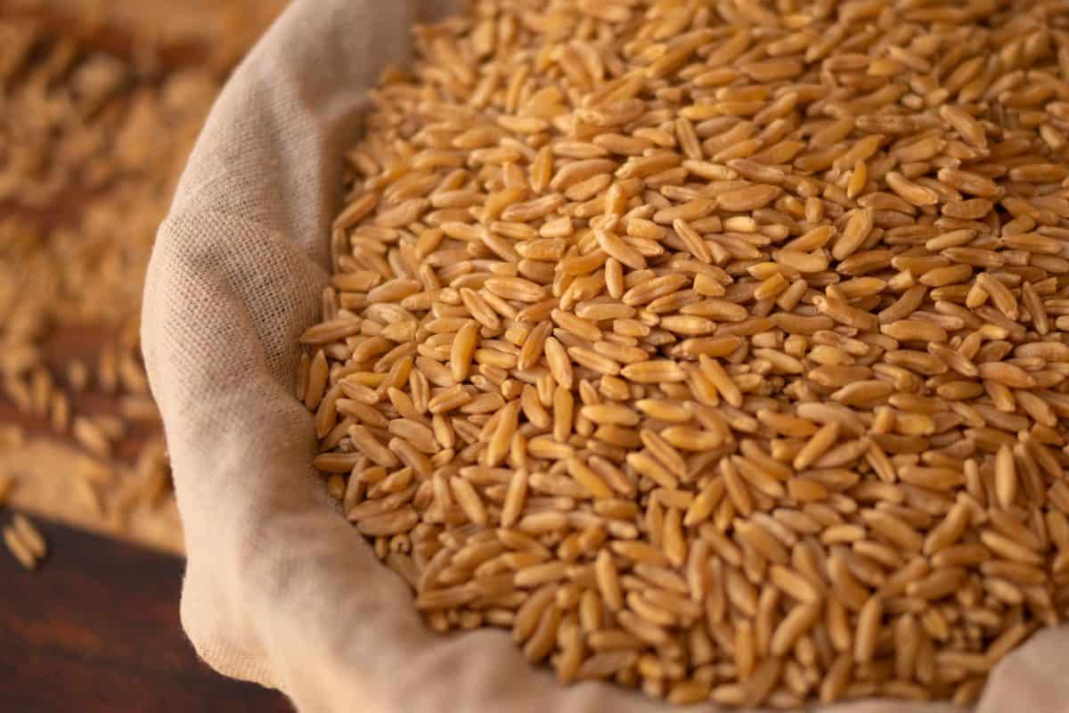 The Ultimate Guide to Cooking Whole Grains